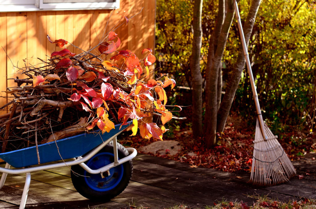 Wie Sie Ihren Garten Fit Für Den Winter Machen | Simply Garden